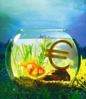 акварыум з залатой рыбкай для прыцягнення грошай